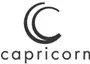 Componenti del motore Capricorn