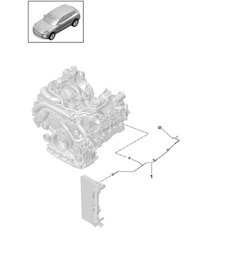 Sistema di raffreddamento / Linea di sfiato - Modello: DLZ,DLZB, DGR,DGRB, DGR,DGRC - 95B (II / III) Macan 2.9L / 3.0L 2019 - 2024
