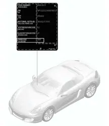 Applicatore per ritocchi vernice / Vernici 981 Boxster / Boxster S 2012-16