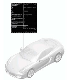 Paint touch-up applicator / Paints 981C Cayman / Cayman S 2014-16