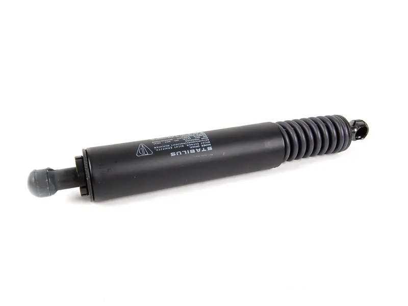 gas-filled strut 95551255006