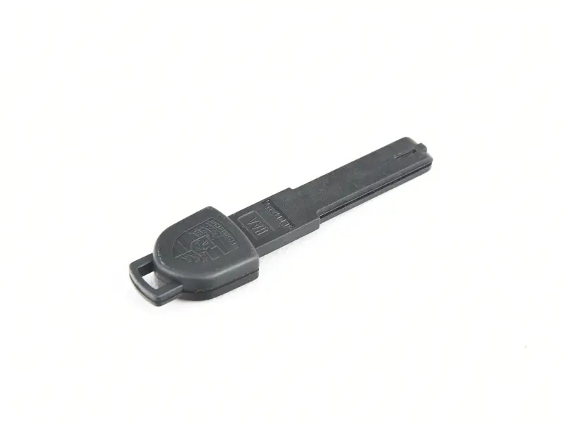 emergency key 95553821601