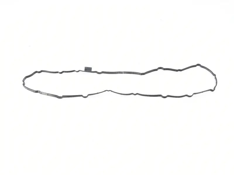 gasket for oil pan 95810364911
