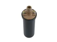 Bobina di accensione Porsche 911 1969-83 e 930 1975-89 PermaTune - 90160250200, 108536105, PCG602502A - sc010