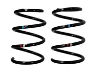 COPPIA molle elicoidali POSTERIORI. Porsche 987.1 Boxster 2005-08 - 9873335311F504, 98733353162504, 98733353151504