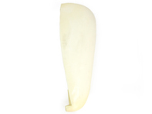 Mousse de renfort latéral du dossier. Porsche 911 1970-73 - 91152119100, 91152119200, 5211920003, 5211910003