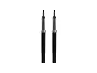 Kit inserto ammortizzatore anteriore Boge. Porsche 911 3.2 Carrera - 91134191313, 91134191306
