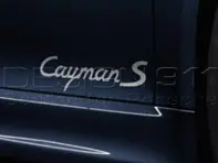 Designazione del modello sulle porte. Porsche 981 Cayman - 98104480071041, 981044800701V04, 98104480071V04