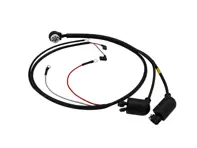 MFI-motorkabelboom. Porsche 911 1969 - 90161206800 - RD-901.612.068.00