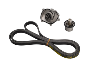 Wasserpumpe, Keilriemen und Thermostat-Einsatz-Kit für Porsche 957 Cayenne S / GTS / Turbo - 94810603301, 94810612500, 94810612501, 7PP903137, 95510225100
