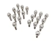 Tornillos de rueda de titanio ligeros (+7 mm/+15 mm más largos) en color plata para Porsche (PAQUETE DE 20) - 99736120000, 99736120302