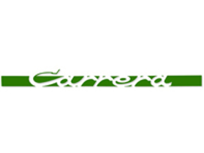 Calcomanía lateral 'CARRERA', en Verde. Porsche 911 Carrera 2.7 - 91155903400, 91155903401, 91155903402, 91155903403, 91155903404