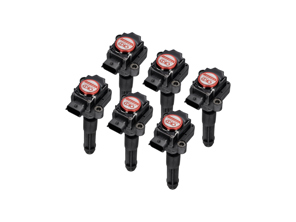 Performance-Zündspulen-Paket (6er-Pack). Porsche 996 / Boxster 986 / Boxster 987 / 997 / Cayman - 99760210402, 99760210400, 99660210400, 99760210404, 0986221119, 90660210200, 90660210301, 99660210100, 99660210101, 99660210200, 99760210401, 99760210700, 99760210702, 99760210406, 99760210405, 90660210101, 99760210703, 4201R - EUPD6004202R