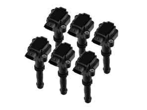 Zündspulen, 6er-Pack. Porsche 996 3.4L / Boxster 986>>03, Artikelnummer 99760210704 - 99760210700, 99760210702, 99660210200, 99760210702, 99660210101, 99660210200, 99760210700, 0986221116, 99760210703, 99917020791, 90006708901, 99610532552, 99760210704 - ZS177, ZS177