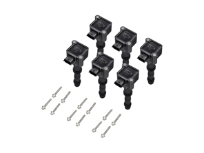 Zündspulenpakete (6ER-PACK). Porsche 996 / Boxster 986 / Boxster 987 / 996 GT3 MKII - 99760210400, 99760210402, 99660210400, 99760210404, 99760210400, 99760210405, 997.602.104.05, 997 602 104 05, 997.602.104.04, 997 602 104 04, 997.602.104.02, 997 602 104 02, 99760210406, 997.602.104.06, 997 602 104 06, 99760210403, 997.602.104.03, 997 602 104 03, 99760210401, 997.602.104.01, 997 602 104 01, 997.602.104.00, 997 602 104 00, 996.602.104.00, 996 602 104 00, 99760210700, 997.602.107.00, 997 602 107 00, 99660210101, 996.602.101.01, 996 602 101 01, 99660210501, 996.602.105.01, 996 602 105 01, 99660210500, 996.602.105.00, 996 602 105 00, 9760210702, 90038502501, 900.385.025.01, 900 385 025 01, 99660210100, 996.602.101.00, 996 602 101 00, 99917022390, 99610532552 - ZS178, ZS178, 0986221119