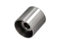 Galet de renvoi de courroie dentée. Porsche Cayenne 3.0L Diesel - 95510524401, 95510524401/1, 107507, 07022