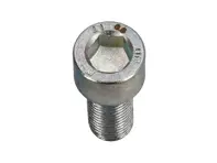 Cap screw Zinc Bbolt M12 X 1.5P X 30mm socket