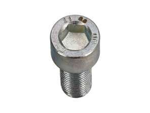 Vite a testa cilindrica Zinco Bbolt M12 X 1.5PX 30mm socket