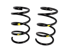 Muelles helicoidales traseros (par). Porsche 987.2 Boxster/Cayman 2009-12 - 98733353190504, 98733353173, 98733353173504
