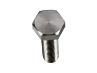 Collecteur d'échappement en titane vers boulon de convertisseur catalytique. Porsche997/987/981/991 - 90007536502, N01024426