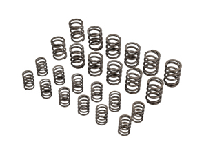 Set molle valvole motore. Porsche 911 / 964 (90110590151) - 90110590151, 90110590150, 90110590100, 93010590100