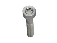 Perno del volante de inercia. Porsche 986 / 987 / 987C / 996 / 997 - 99907309202 - 99907309209, 99907309201, 99907309202