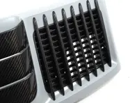Ailerons de couvercle de pont Rennline en fibre de carbone. Porsche 991.2 turbo S - 99151257140041, 99151257140 - E394