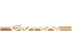 Decalcomania laterale 'CARRERA', in Matt Gold. Porsche 911 Carrera 2.7 - 91155903400, 91155903401, 91155903402, 91155903403, 91155903404