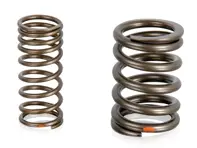 Ventilfedersatz. Porsche 924 - 046109623, 048109623, PCG109623
