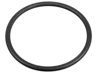 Anello di tenuta 31 x 2 pompa carburante ad alta pressione. Porsche 95B Macan / 957 / 958 / 9YA Cayenne / 970 / 971 Panamera - WHT005184 - 172666