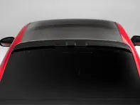 TechArt roof spoiler. Porsche 992 turbo coupe - 092.100.600.009, 092.100.600.009G, 092.100.600.009M