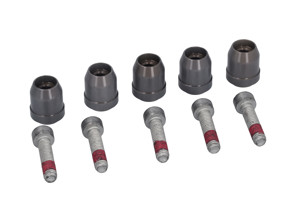 Kit perno guida disco freno. Porsche 991 GT2 RS / 991 GT3 - 99134190580