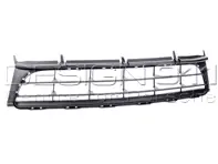 Griglia centrale del paraurti anteriore. Porsche 997Turbo - 9975055410201C
