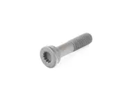 Boulon à tête Torx pour pignon d'arbre à cames. Porsche 996 turbo / 996 GT3 - 99610531390, 99610531391
