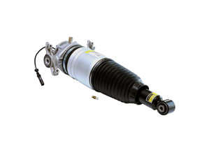 Jambe d'amortisseur de suspension pneumatique arrière. Porsche Cayenne 2011-2018 - 95835802000, 95835802001, 95835802006, 95835802008, 95835802010, 95835802011, 95835802015, 95835802016, 95835802017, 95835802018, 95835802019, 95835802020, 95835802025, 95835802026, 95835802027, 95835802030, 95835802031, 95835802032, 95835802040, 95835802041, 95835802042, 95835802050, 95835802051, 95835801900, 95835801901, 95835801906, 95835801908, 95835801910, 95835801911, 95835801915, 95835801916, 95835801917, 95835801918, 95835801919, 95835801920, 95835801925, 95835801926, 9583 - DAS10206, DAS10207