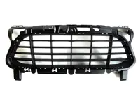 Mittelgitter der vorderen Stoßstange. Porsche 958 Cayenne Turbo 2011>> - 95850568311