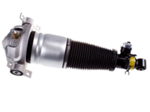 Luftfederbeineinheit hinten. Porsche Cayenne 2002 - 2010 - 350019000001, 95533303444/1, 95533303342, 95533303343, 95533303344, 95533303320, 95533303321, 9553330332, 95533303442, 95533303443, 95533303444, 95533303420, 95533303421, 95533304322, 350019100001, 95533303344/1