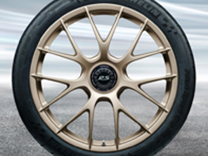 20'/21' 991.2 GT3 RS Magnesio, in oro bianco metallizzato (satinato-lucido) Cerchi in lega Original Porsche - 99104460339