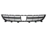 Mittlerer unterer Kühlergrill der vorderen Stoßstange. Porsche 970 Panamera >>2013 - 970505541021E0, 97050554102